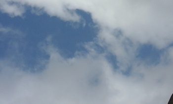 Medium_20160803_113057_1_