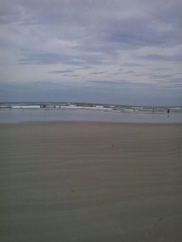 Medium_20141108_103649