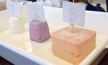 Medium_10603595_579799172132076_9029990492431806490_n