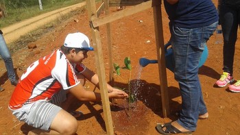 Medium_plantando_e_cuidando