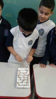 Medium_img-20161107-wa0034