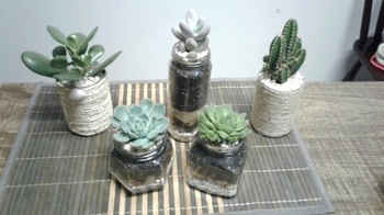 Medium_photostudio_1479123809855