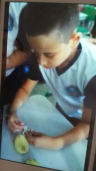 Medium_img-20161111-wa0031