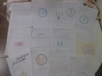 Medium_fc011416-d2cf-4add-83b5-d61ff1531a42