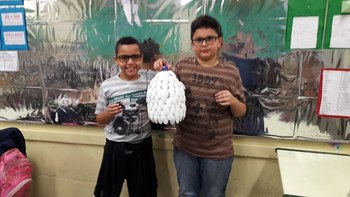 Medium_14937931_1734171583573504_1532687957_n