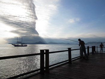 Medium_4402008588_71c01477a7