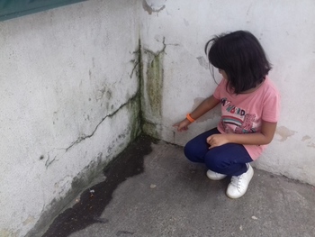 Medium_20170327_142008