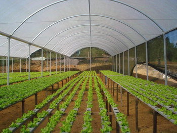 Medium_6estufas-top-5