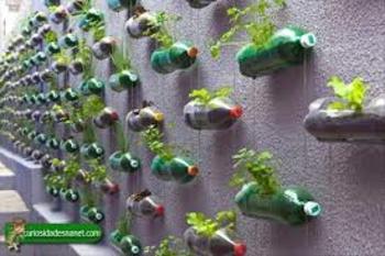 Medium_imagesrpvitr4j