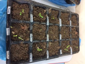 Medium_img-20170930-wa0202