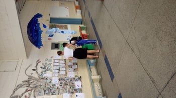 Medium_20170609_114814