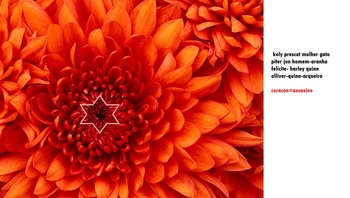 Medium_chrysanthemum