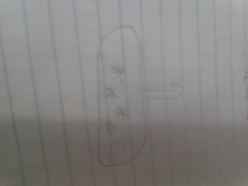 Medium_img_20180815_142228