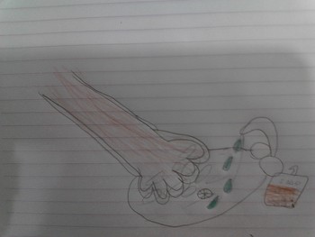 Medium_img_20180822_152733