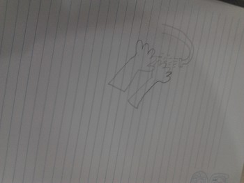 Medium_img_20180822_152502