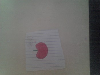 Medium_1535042852306-1222941936