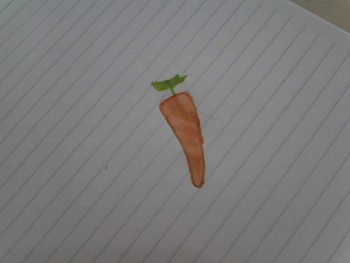 Medium_1535042897787-987168679