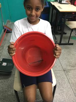 Medium_whatsapp_image_2018-10-29_at_16.22.27