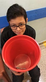 Medium_whatsapp_image_2018-10-29_at_16.27.03