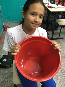 Medium_whatsapp_image_2018-10-29_at_16.22.27__1_