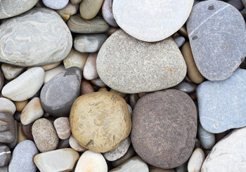 Medium_6832807cbd01d81abd17f8f6bd7e3642