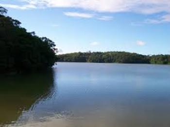 Medium_imagesk2m5s4vv