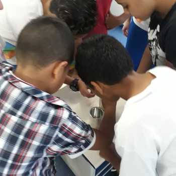 Medium_img-20191003-wa0038.jpg_latinha