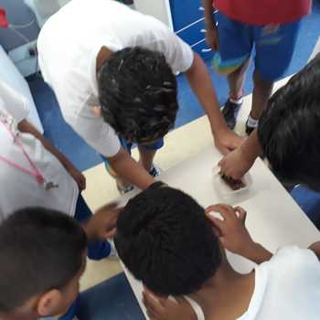 Medium_whatsapp_image_2019-10-10_at_19.44.13