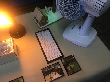 Medium_mostra_cultural9