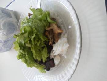 Medium_20190520_144751