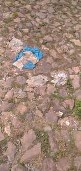 Medium_img-20200608-wa0070