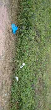 Medium_img-20200608-wa0073