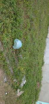 Medium_img-20200608-wa0074