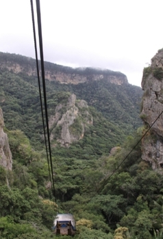 Medium_20200624_163800