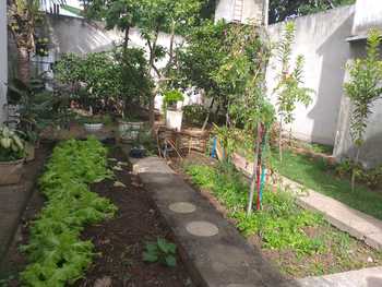 Medium_whatsapp_image_2020-06-26_at_14.43.14