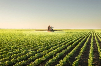 Medium_20200629_165237