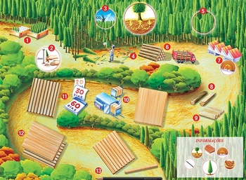 Medium_ciclo_do_lapis