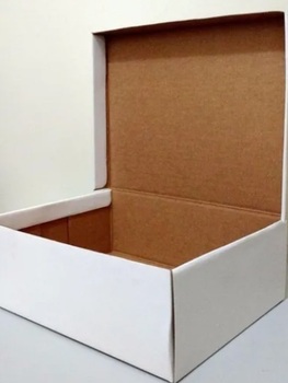 Medium_20201027_132459