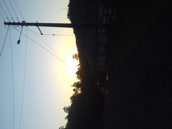 Medium_20210807_174935