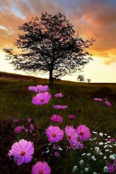 Medium_e7ab67b7318f0f0078929b31b117ad47