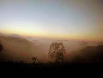 Medium_img_20210708_070512082