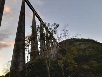 Medium_img-20210717-wa0001