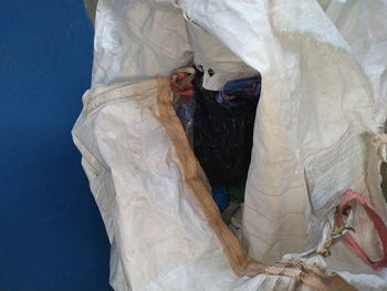 Medium_img_20210812_074955