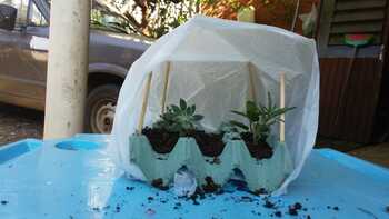 Medium_whatsapp_image_2021-08-16_at_15.39.22