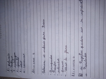 Medium_adriana_61_4a6