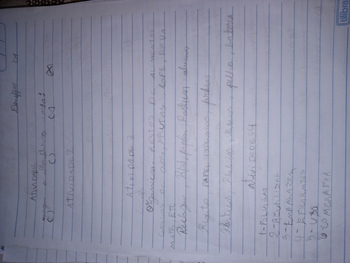 Medium_deneffer_61_1a4