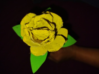 Medium_16304487412783427791915910811866