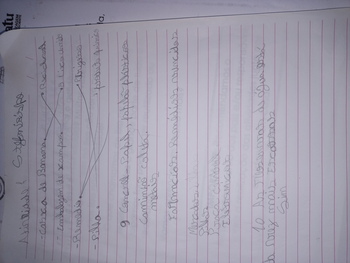 Medium_stefani_61_7a10