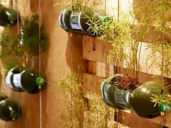 Medium_vaso-de-garrafa-pet-capa-1200x900