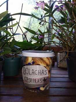 Medium_db895862-8e74-4a91-96ee-b259fc3a7140